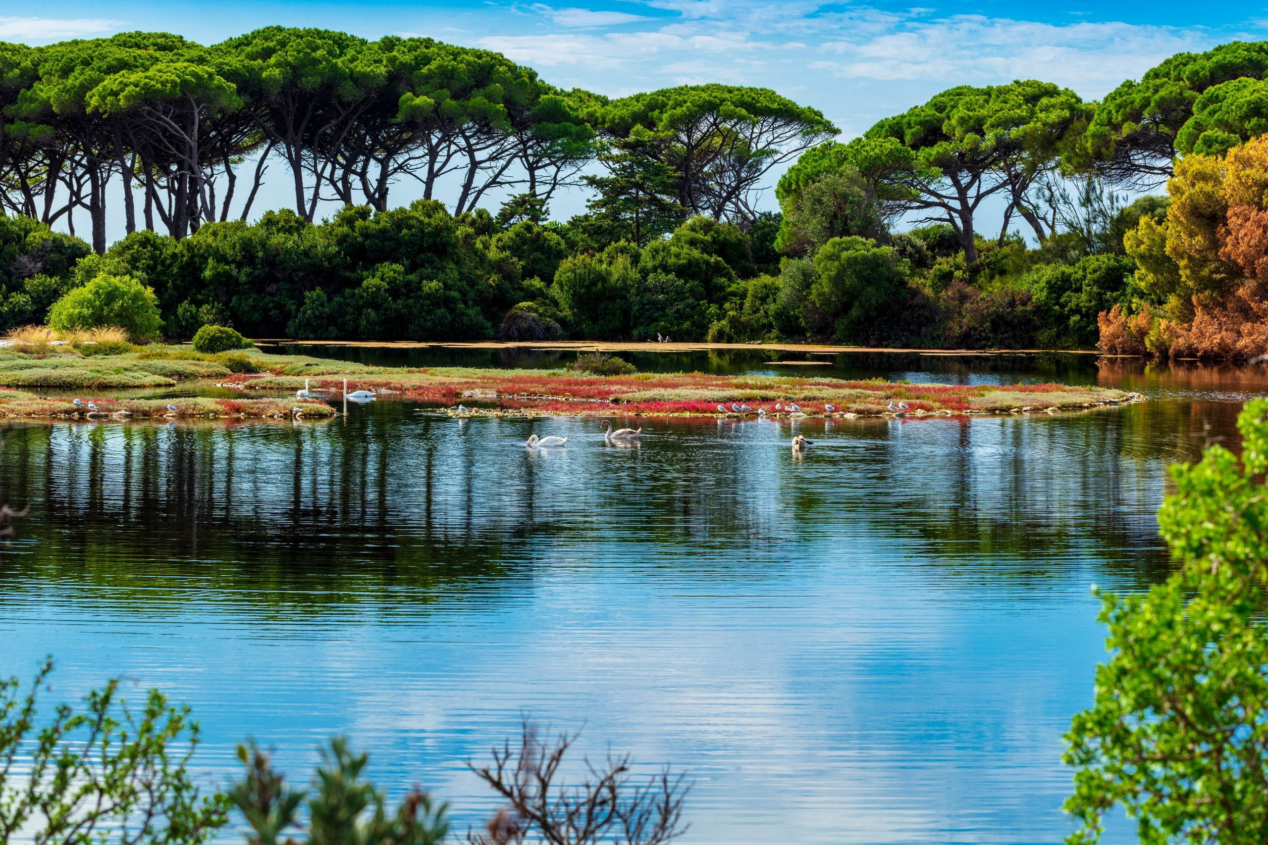 Lérins